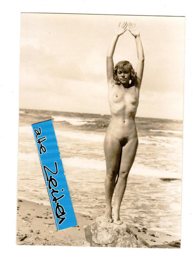 Gerhard riebicke - gerhard,