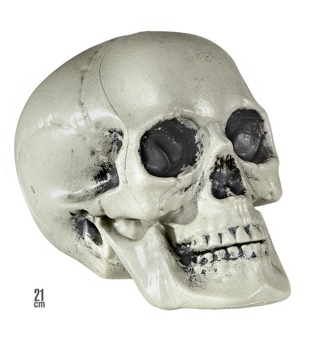 Totenkopf schädel aus - totenkopf,