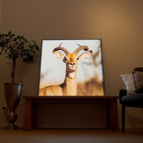 Led wandbild hirsch - led, –