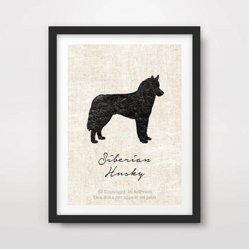 Siberian husky dog - siberian,