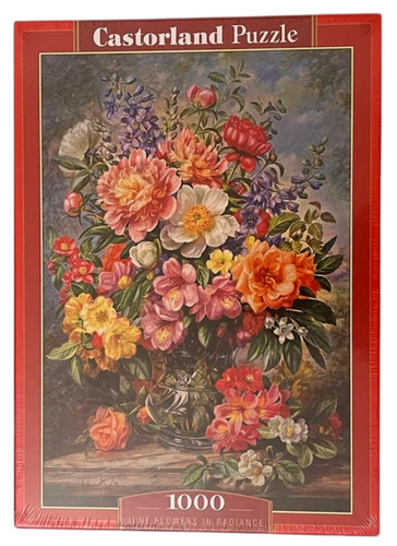 Castorland puzzle 1000 - castorland,
