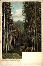 ~1900 Thüringen Litho-AK Durchblick von der Hohen Sonne zur Wartburg Eisenach