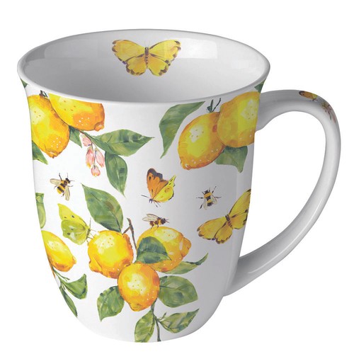 Becher 10cm höhe - Ø, 10,5