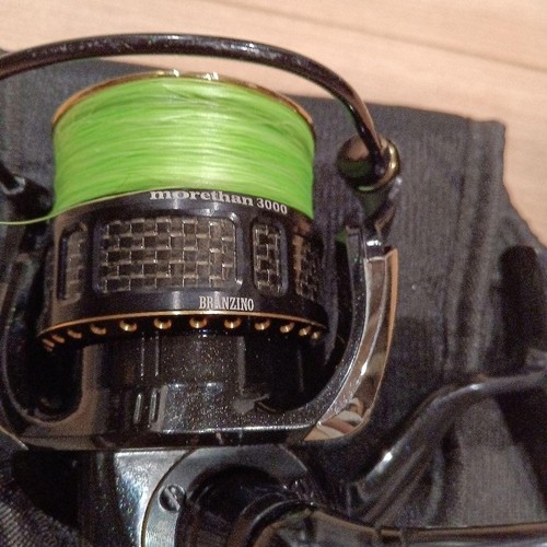 Daiwa morethan branzino - daiwa,