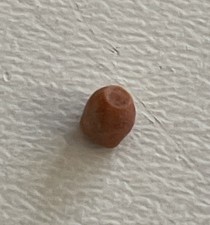 Metaeutelecrinus fritillus