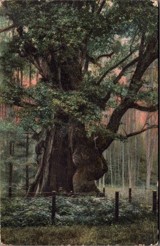 Oldenburger land - oldenburger,