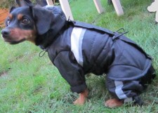 Ausverkauf! Hunde Schneeanzug