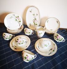  Epiag Pirkenhammer - schönes, altes Kaffeeservice "Neuwien" Heckenrose