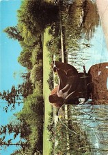 788330) Lot von 4 AK