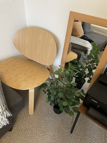 Stühle
