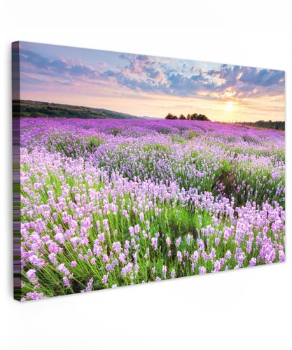 Bilder groß xxl - groß, wohnzimmer
