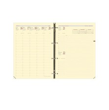 Kalendereinlagen – 2025 –