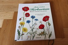 Mein erstes Herbarium Blumen