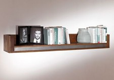 Wandboard SHIELD #109 Regal