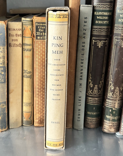 Insel verlag buchkonvolut kin - buchkonvolut,