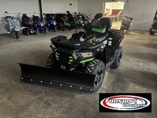Quad  Winterdienst Räumen