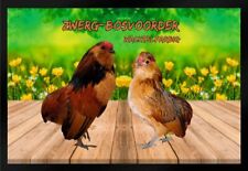 Fußmatte Schmutzfangmatte Hühner Zwerg Bosvoorder wachtelfarbig F1402