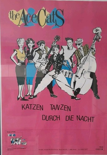 The ace cats katzen - ace,