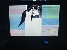 MSI Megabook EX610 - MS163D | Windows 10 | Office 2021 | mit Displayschaden / ok