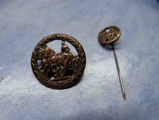 Reiterabzeichen Fahrabzeichen  mit Nadel  Steinhauer & Lück  Warm-Kaltblüter