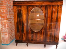 Antike Vitrine/Bücherschrank