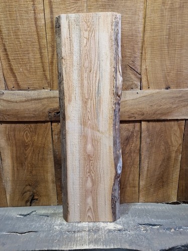 Kieferplatte live edge - kieferplatte,
