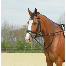 BUSSE Thiedemann-Kombination