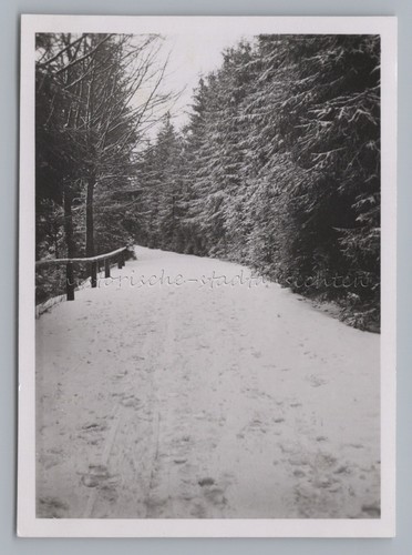 Gehlberg suhl 1937 waldweg - 1937,