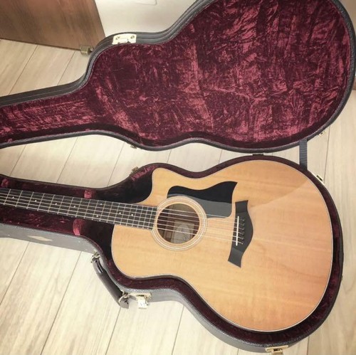 Akustikgitarre taylor 316ce - taylor,