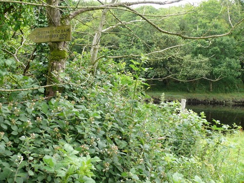 Foto fluss bladnoch - foto, a2
