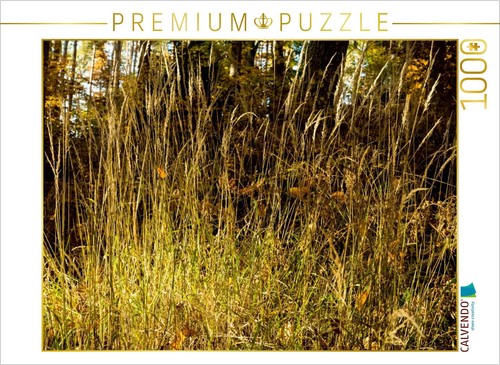 Calvendo puzzle burgwald - calvendo, im