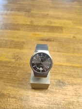 Skagen Herren Uhr, Titanium