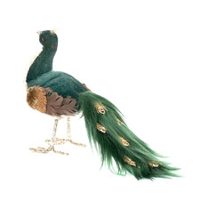 Zauberhafter Pfau mit Plüsch