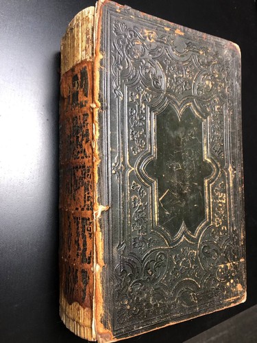 The holy bible - bible, bibel