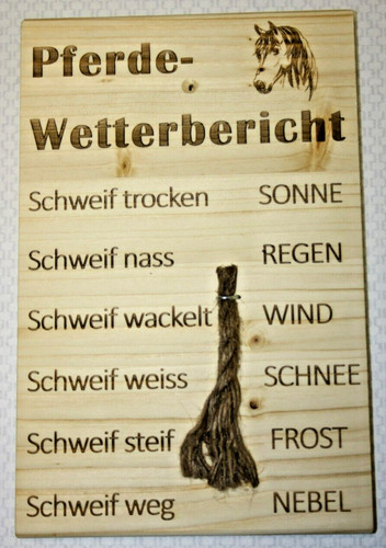 Pferdewetterbericht pferd - pferdewetterbericht,,