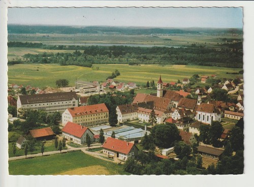Buxheim marianum - ,,