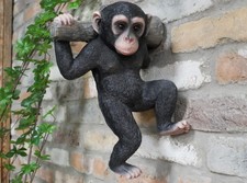 Großer harz affe auf einem - harz,