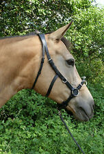 RHRH SoftGel Kappzaum EMPATHIA anatomisch GelGenickstück Longieren Leder Neu TOP