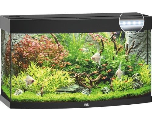 Aquarium juwel vision 180 mit - juwel,