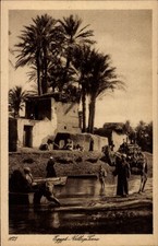 Ak Ägypten, Dorfpartie, Kamel - 4572816