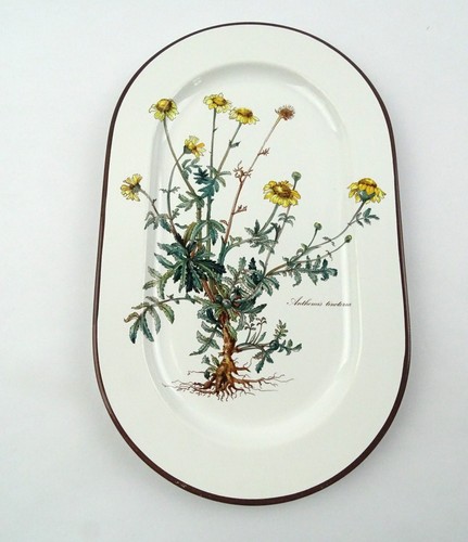 Villeroy boch botanica - villeroy,