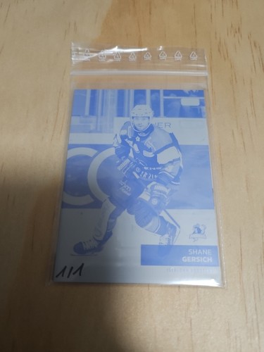 Del eishockey tradingcard - del,