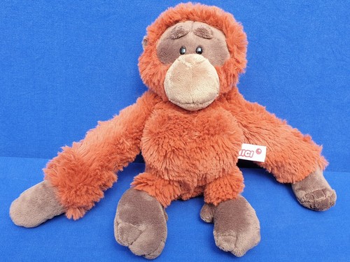 Nici affe monkey orang utan - monkey, orang-utan