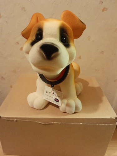 Hunde baby bernhardiner - , baby.