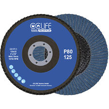 B-WAREN 10x Fächerscheibe 125mm x 22 Korn 60/80 Lamellen Schleifscheiben