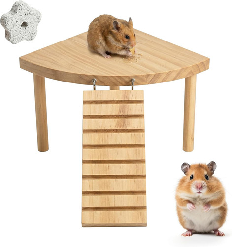 Hamster plattform auf - hamster,