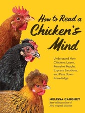 How to Read a Chicken's Mind |