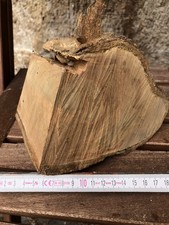 Wurzelholz vom Kirschbaum 