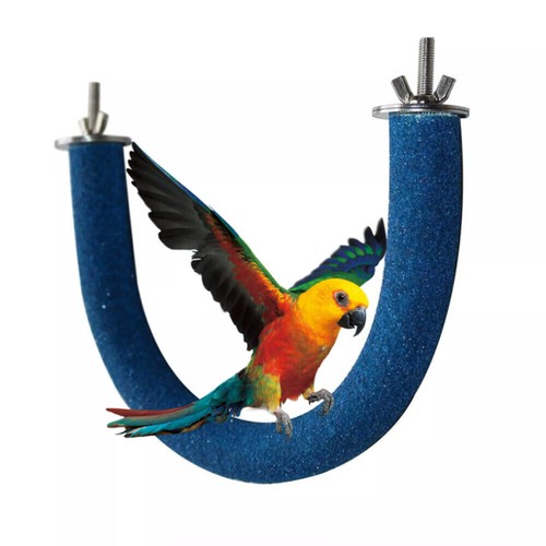 Form papagei barsch - papagei, vogel