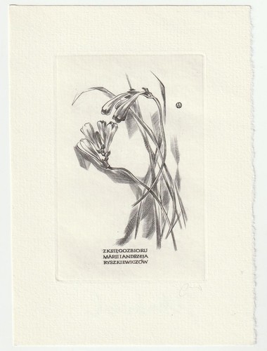 Woiciech jakubowski exlibris - woiciech, jakubowski: